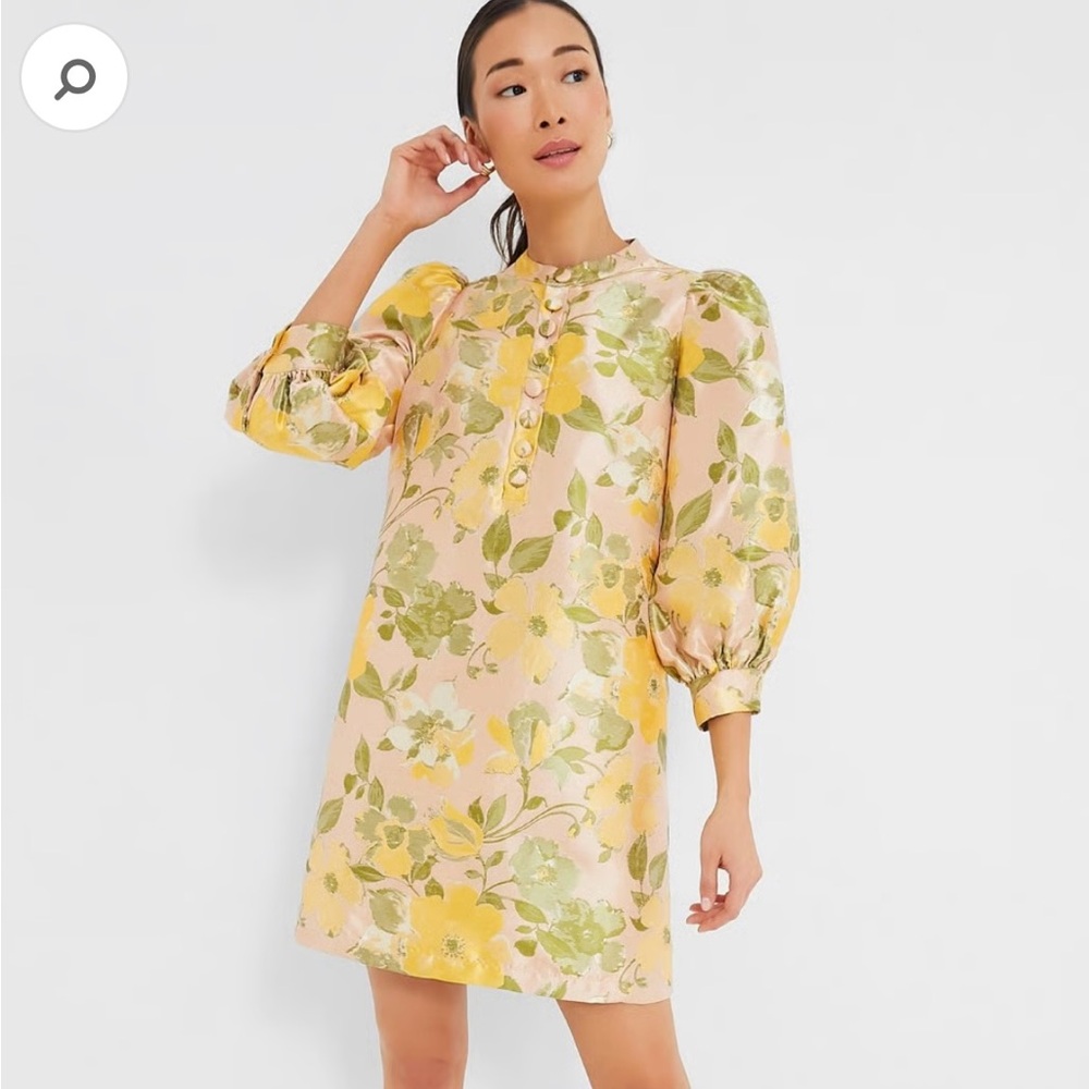 NWT Pomander Place Daylily Jacquard Samantha Dress Size XL In Pink And Yellow